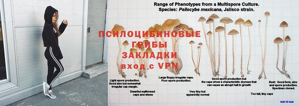 прущая мука Богданович